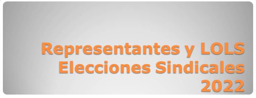 Caratula representantes y LOLS Elecciones Sindicales 2022